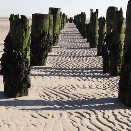 Woogeperle - Nordseeblick Pur Wangerooge