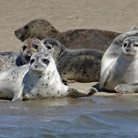 アパート Woogeperle - Nordseeblick Pur *